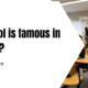 Which school is famous in Chandigarh?
