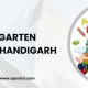 Best Kindergarten School in Chandigarh